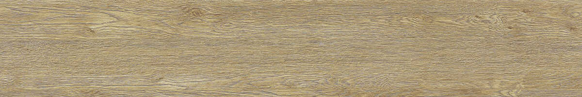 200x1200